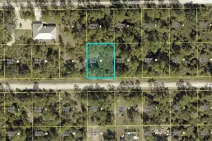 4199 E 25th St, Alva, FL 33920 - Photo 1