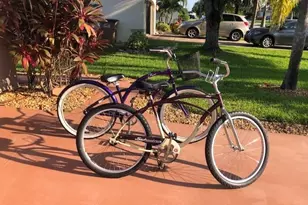 3832 SW 20th Ave, Cape Coral, FL 33914 - Photo 9