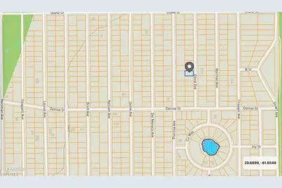 917 David Ave, Interlachen, FL 32148 - Photo 3