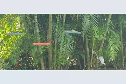 Lot 208 3026 Belle Of Myers Rd, Labelle, FL 33935 - Photo 19