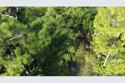 2525 Catron Cir, Lehigh Acres, FL 33971 - Photo 3