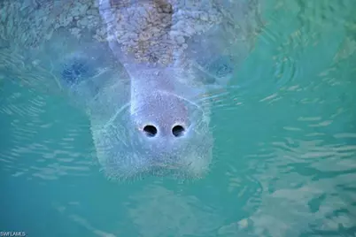 13491 Sabal Point Dr, Fort Myers, FL 33905 - Photo 33