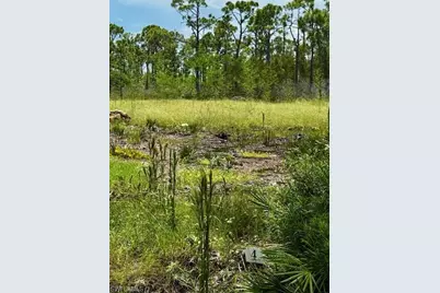 3561 Pink Ibis Dr, Saint James City, FL 33956 - Photo 3