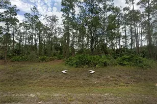 802 Sheldon Ave, Lehigh Acres, FL 33936 - Photo 1