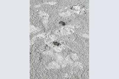 2265 W Gulf Dr #310C, Sanibel, FL 33957 - Photo 29