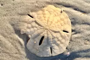 1390 Middle Gulf Dr, Sanibel, FL 33957 - Photo 43