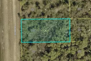 2804 Mable Ave N, Lehigh Acres, FL 33971 - Photo 1