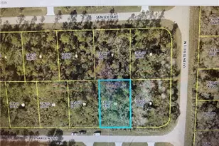 524 Sargent St, Lehigh Acres, FL 33972 - Photo 1