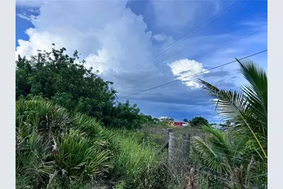 2913 Fernwood Ln, Labelle, FL 33935 - Photo 3