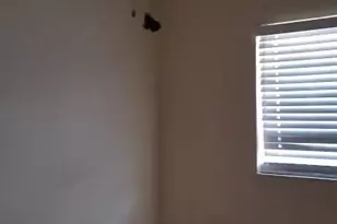 522/524 NE 24th Pl, Cape Coral, FL 33909 - Photo 9