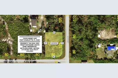 12228 Karney Ave, Port Charlotte, FL 33981 - Photo 1