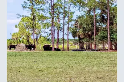 1001 Homestead Ave, Clewiston, FL 33440 - Photo 11