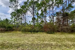 451 Fellenz St, Port Charlotte, FL 33953 - Photo 1