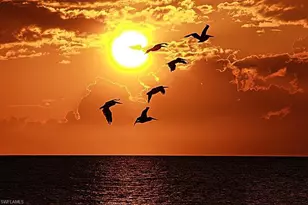 13570 Harbour Ridge Dr, Fort Myers, FL 33908 - Photo 49