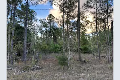 302 Spokane Ave, Lehigh Acres, FL 33972 - Photo 5