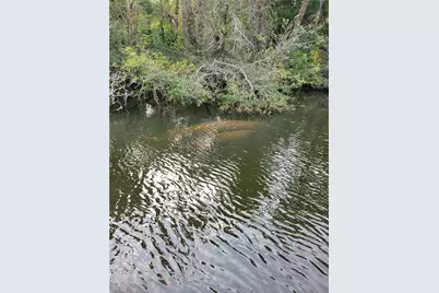 3570 Williamson Rd, Fort Myers, FL 33905 - Photo 9