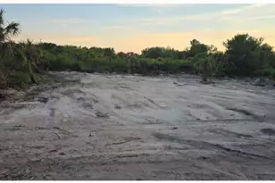 302 Pinehurst Ave, Lehigh Acres, FL 33974 - Photo 1