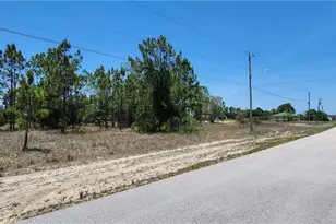 316 Petite Ave, Lehigh Acres, FL 33974 - Photo 1