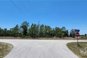 318 Petite Ave, Lehigh Acres, FL 33974 - Photo 1