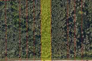 2685 60th Ave NE, Naples, FL 34120 - Photo 1