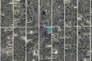 1001 W 14th St, Lehigh Acres, FL 33972 - Photo 1