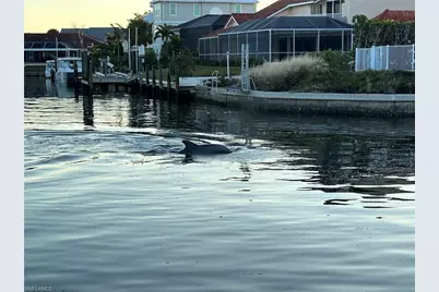 946 Whelk Dr, Sanibel, FL 33957 - Photo 31