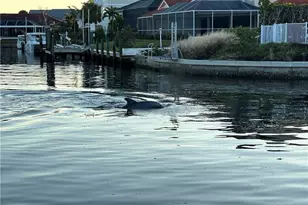 946 Whelk Dr, Sanibel, FL 33957 - Photo 31