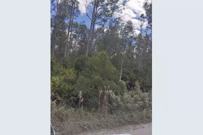 32910 Oil Well Rd, Punta Gorda, FL 33955 - Photo 1