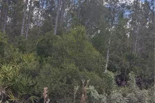 32910 Oil Well Rd, Punta Gorda, FL 33955 - Photo 1