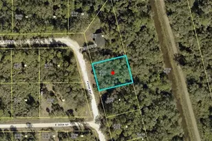 3002 Fitch Ave, Alva, FL 33920 - Photo 1