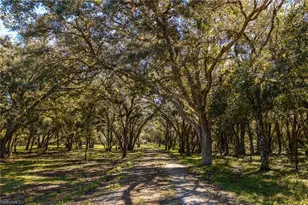 1400 Catamount Rd, Labelle, FL 33935 - Photo 5