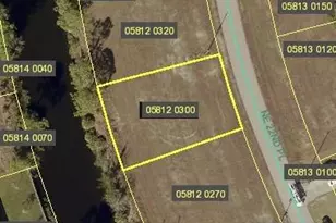 4410 NE 22nd Pl, Cape Coral, FL 33909 - Photo 1