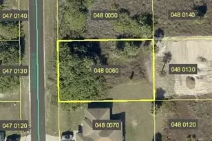 717 Roma Ave S, Lehigh Acres, FL 33974 - Photo 1