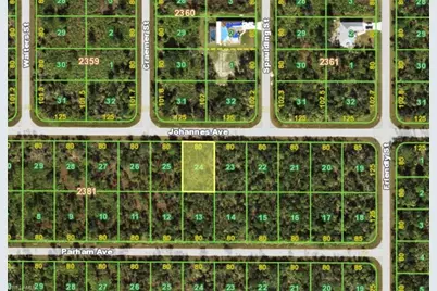 13157 Johannes Ave, Port Charlotte, FL 33953 - Photo 1