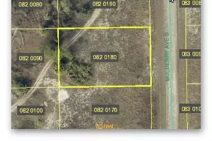 650 Mulberry Ave S, Lehigh Acres, FL 33974 - Photo 1