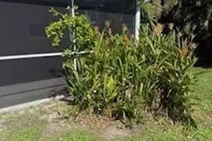 109 NE 20th Ct, Cape Coral, FL 33909 - Photo 5