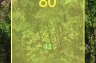 13337 Wolf Ave, Port Charlotte, FL 33953 - Photo 1