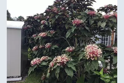 2256 Marina Park Dr, Fort Myers, FL 33905 - Photo 7