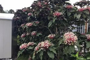 2256 Marina Park Dr, Fort Myers, FL 33905 - Photo 7