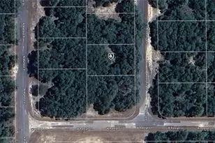 7120 N Veronica Dr, Dunnellon, FL 34433 - Photo 1