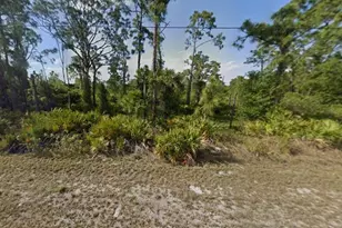 909 Butler St E, Lehigh Acres, FL 33974 - Photo 1