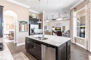 11525 Verandah Palm Ct, Fort Myers, FL 33905 - Photo 13