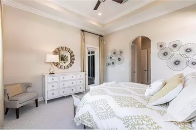 11525 Verandah Palm Ct, Fort Myers, FL 33905 - Photo 23