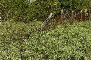 5209 Western Dr, Saint James City, FL 33956 - Photo 17