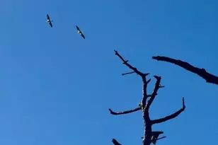 5209 Western Dr, Saint James City, FL 33956 - Photo 19