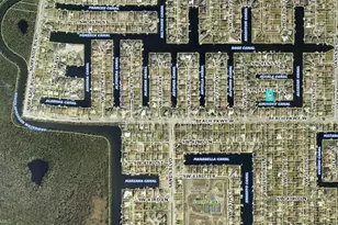 2612 SW 41st Terrace, Cape Coral, FL 33914 - Photo 47