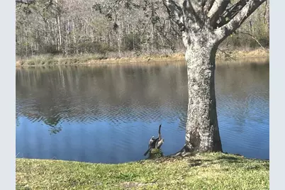 21524 Belhaven Way, Estero, FL 33928 - Photo 45