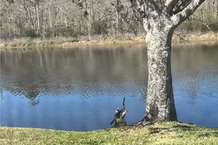 21524 Belhaven Way, Estero, FL 33928 - Photo 45