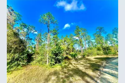 124 Nassau Ave, Lehigh Acres, FL 33974 - Photo 1