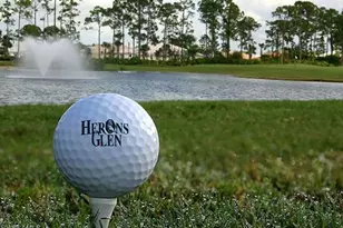 2050 Palo Duro Blvd, North Fort Myers, FL 33917 - Photo 41